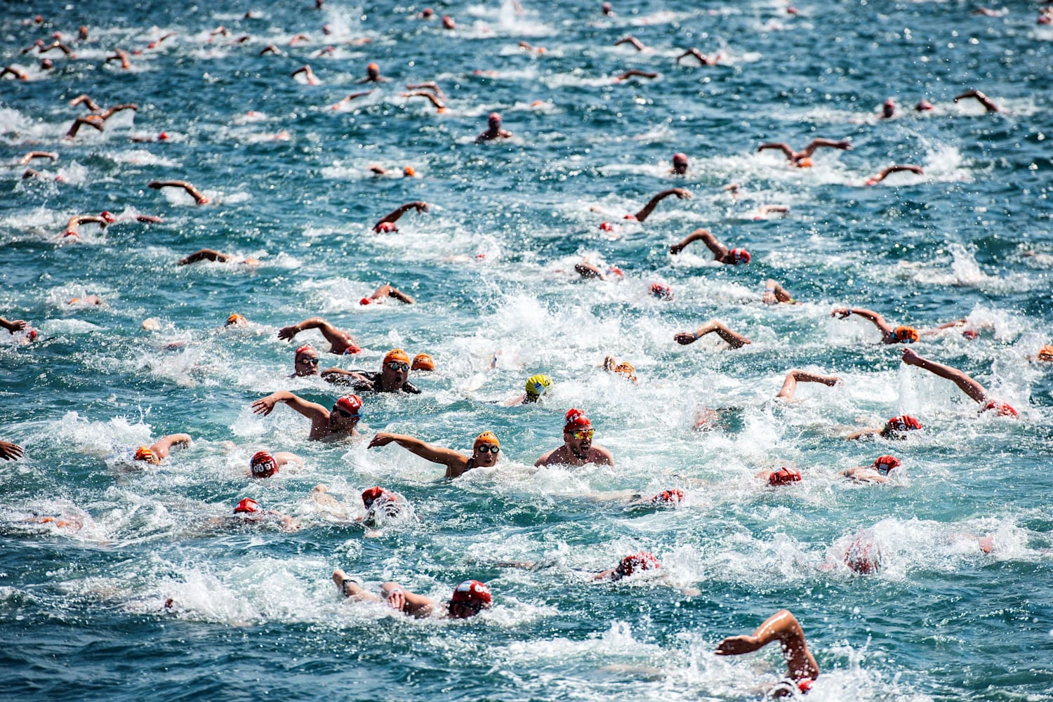 Toughest swimming challenges in the world The top 8
