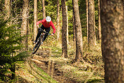 Afan Forest Park MTB Trails