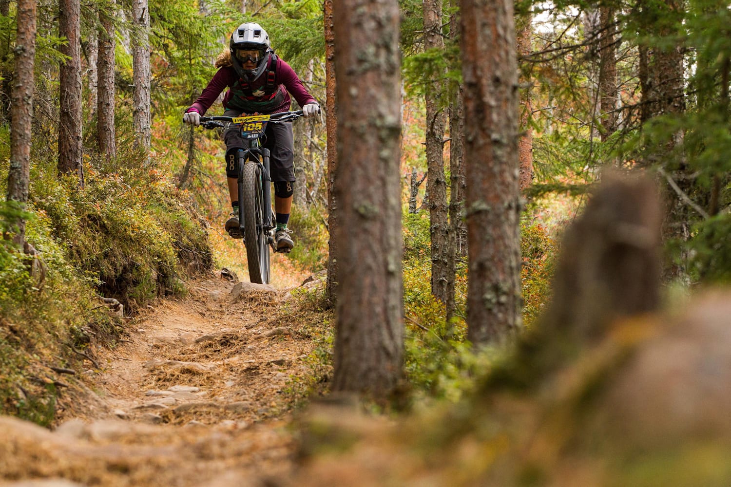 enduro mtb races 2019