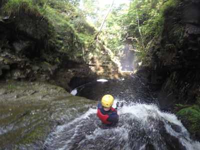 Afon Dwyryd