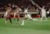 Karim Konate visto durante a partida FC Salzburg x Stade Brest, pela fase de classificação da Liga dos Campeões da UEFA, em 1º de outubro de 2024, em Salzburgo, Áustria.