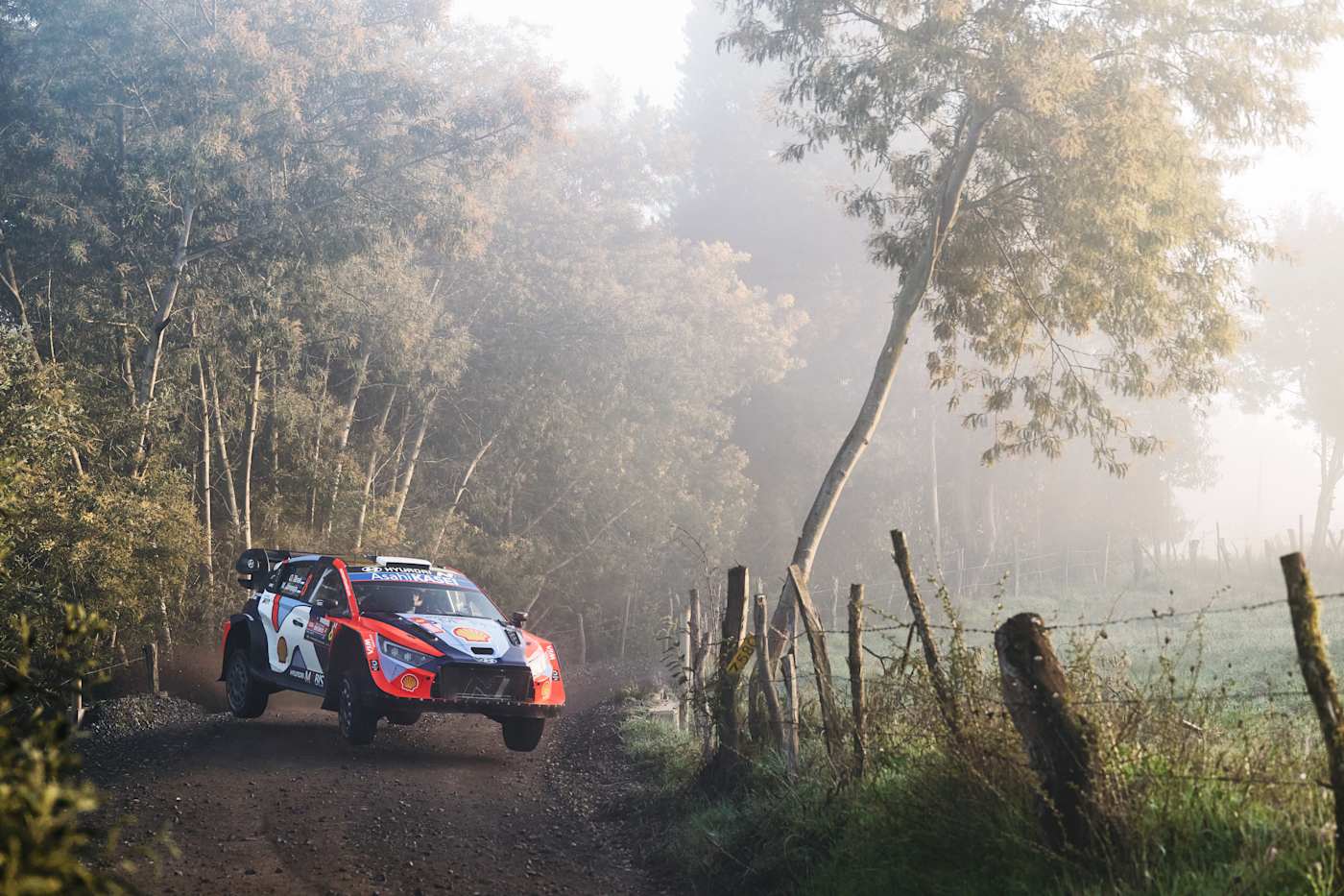 Ott Tänak y Martin Järveoja