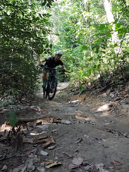 Dirt Diaries Exploring Bukit Kiara s trails