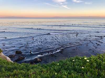 Surfers sit in the water at Steamer Lane in Santa Cruz, California