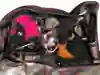 Una mountain bike embalada dentro de una funda especial para el transporte de bicicletas.