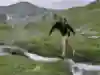 Athlete Michael Gebert hiking towards Großglockner