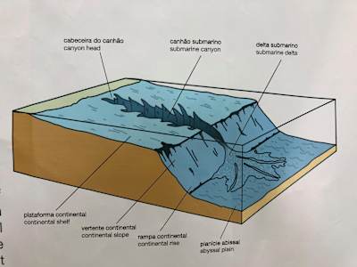 Der Unterwasser-Canyon von Nazaré.
