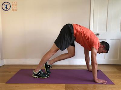 Posture du chien tête en bas