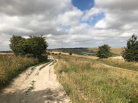Wiltshire and Berkshire gravel route