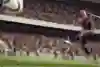 FIFA 16