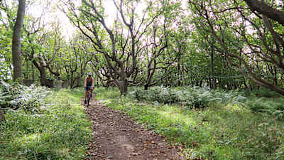 Go East Lothian Gravel Tour Aberlady, Scotland route