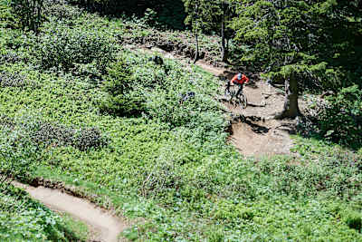 Vincent Tupin gira sul Wurzel-Section del Morgins Bike Park.