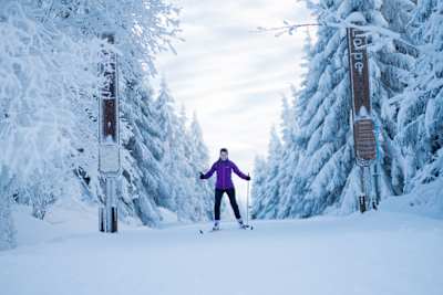 Langlauf Harz