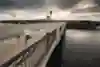 Gwen Jorgensen on a training run in Minneapolis.