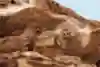 自然そのものの荒々しい地形を利用した【Red Bull Rampage】のベニュー