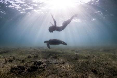A freediver and turtle swim together in the Indian Ocean