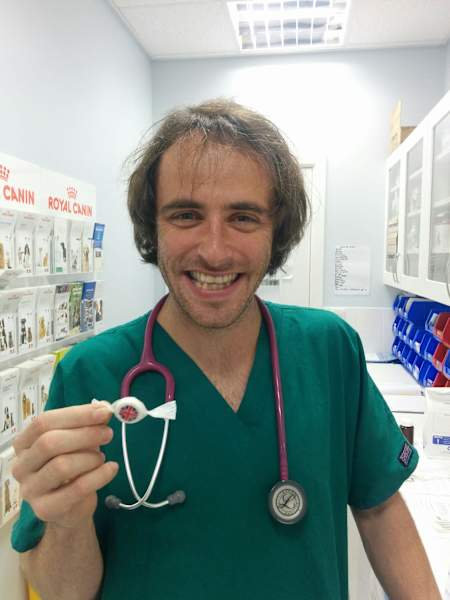 When he's not running, Rob practices as an emergency vet