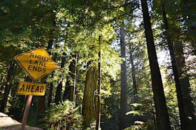Le route 101 de Vancouver à San Francisco est une des routes préférées du globe skater.