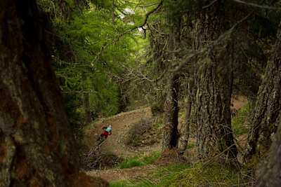 Mountainbiker fährt den Herrensteig MTB-Trail.