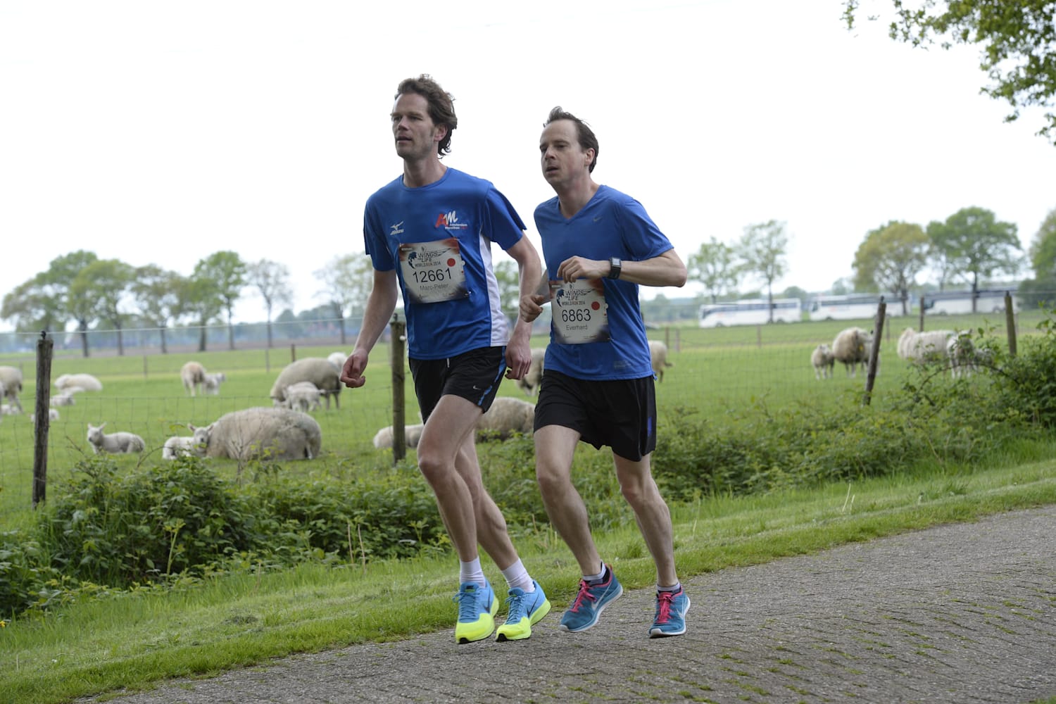 Kijk vanavond naar Wings For Life op RTL7