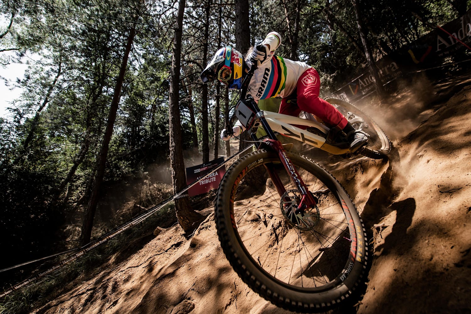 best 2019 dh bikes