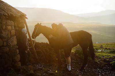 Rob Warner brushes a pony in Lesotho.