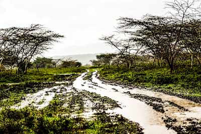 This year's Safari Rally is expected to be extremely challenging