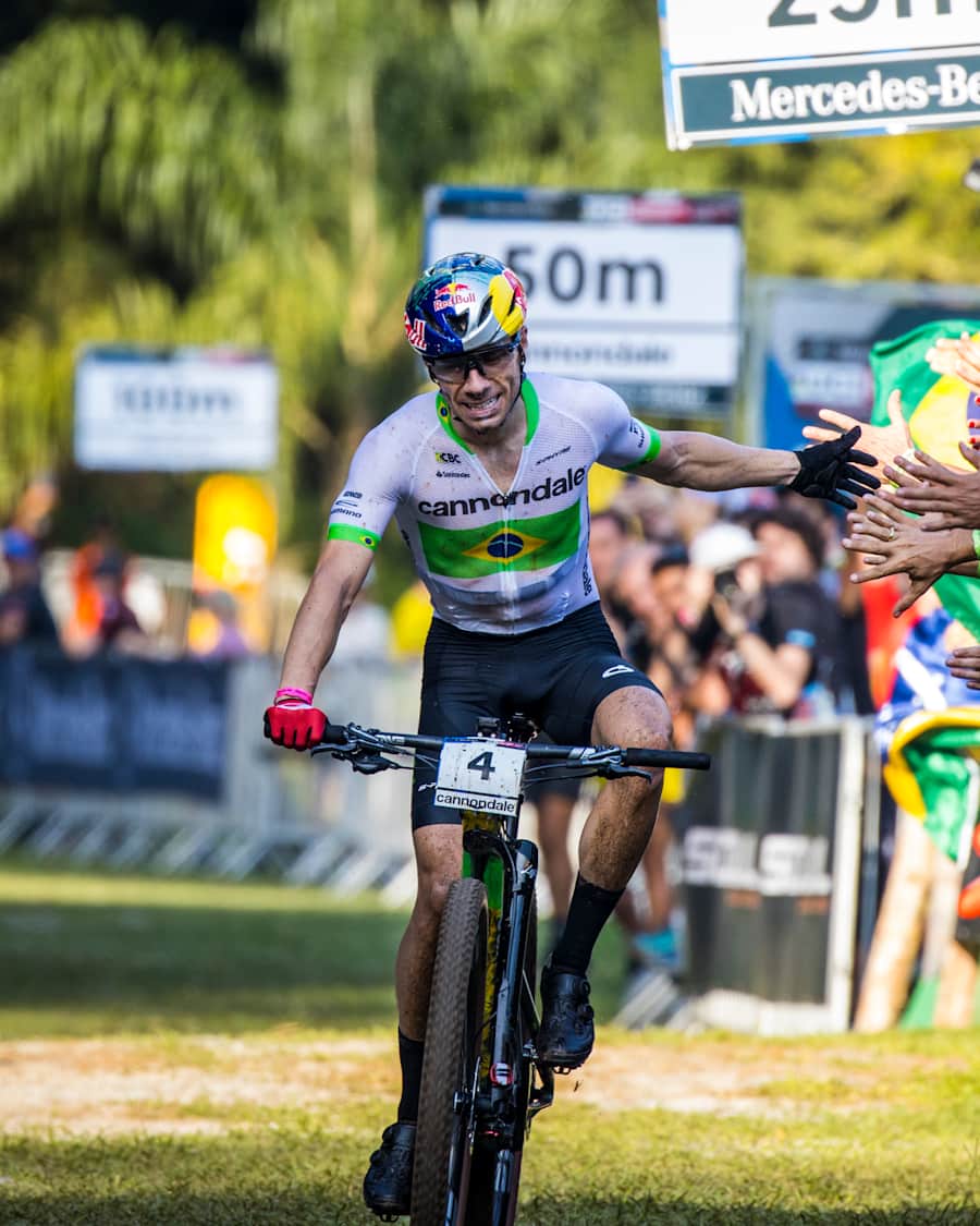 Avancini schurter sales