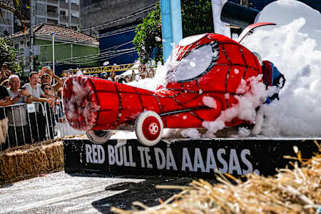 Red Bull Ladeira Abaixo 2024: Red Reverse e o porco aranha, 3º colocado