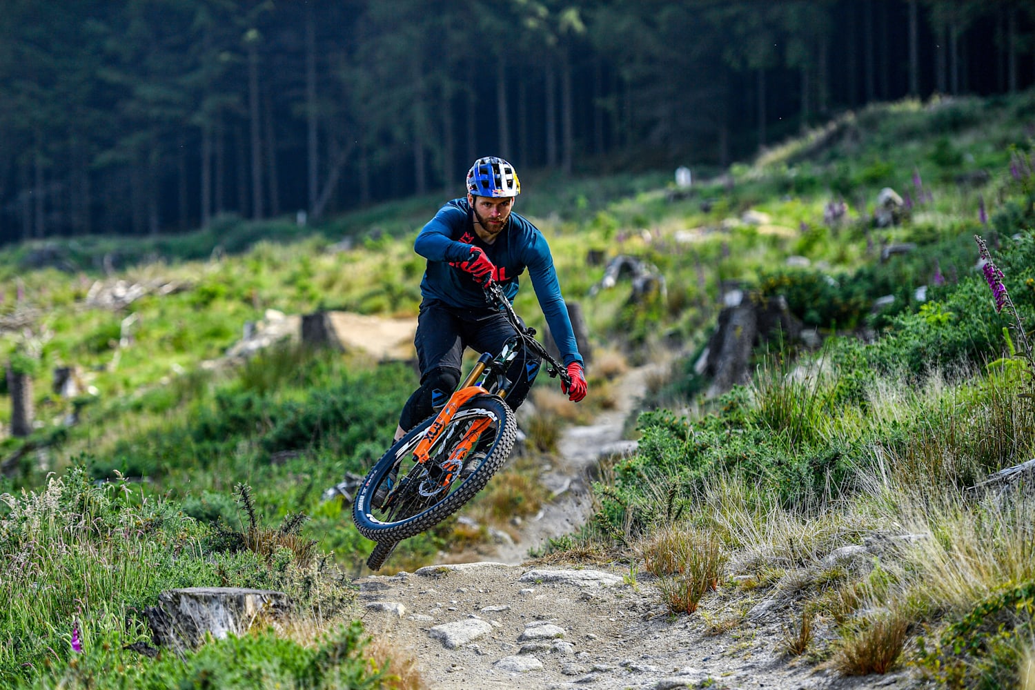 mtb enduro racing
