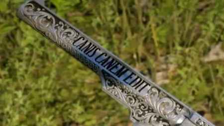 Die Canis Canem Edit-Pistole aus Read Dead Redemption 2