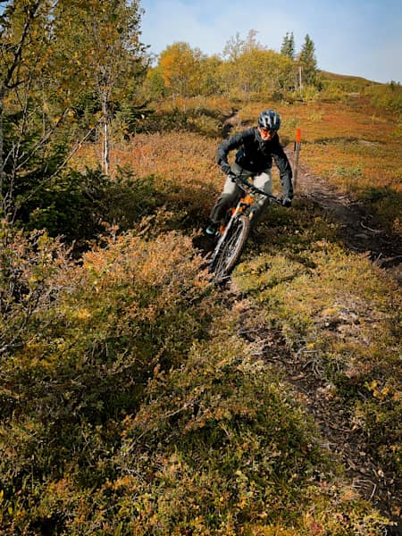 Gravel downhill new arrivals