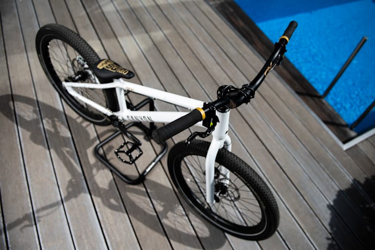 Fabio Wibmer Bike Check Prototype Canyon Trial Bike