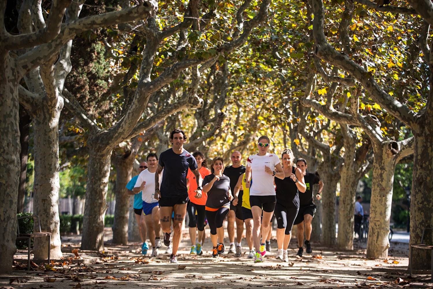 Wings for Life World Run Organise an App Run ++Info++