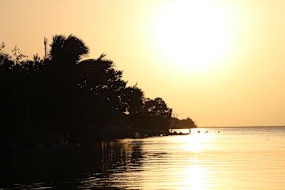 Der Traum vom ortsunabhängigen Arbeiten