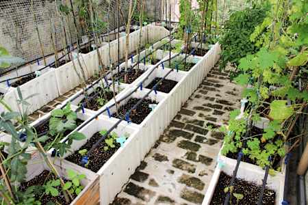 Some khets are in the early stage of development