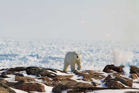 McNair-Landry snapped this photo of a polar bear in the frozen wilderness
