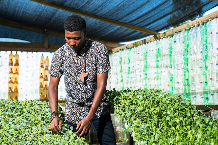 Aquaponics Farming Enterprise In South Africa Profile