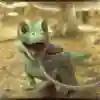 Josh Dunlop's Yoshi im echten Leben
