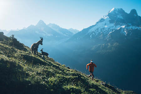 Corriendo en plena montaña junto a cabras montesas.