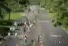 更大的賽事讓你可以與其他跑者以相同的速度跑步