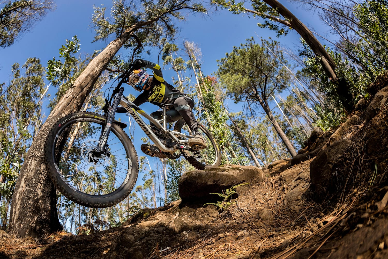 starting out mountain biking