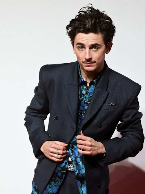 Golden-Globe-Gewinner  Timothée Chalamet