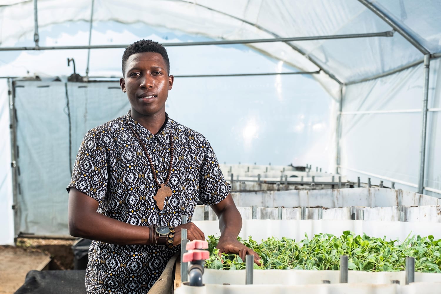 Aquaponics Farming Enterprise In South Africa Profile