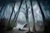 Person sits under a tarp shelter in some woods.