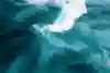 Gliding over the perfect blue of Haleiwa