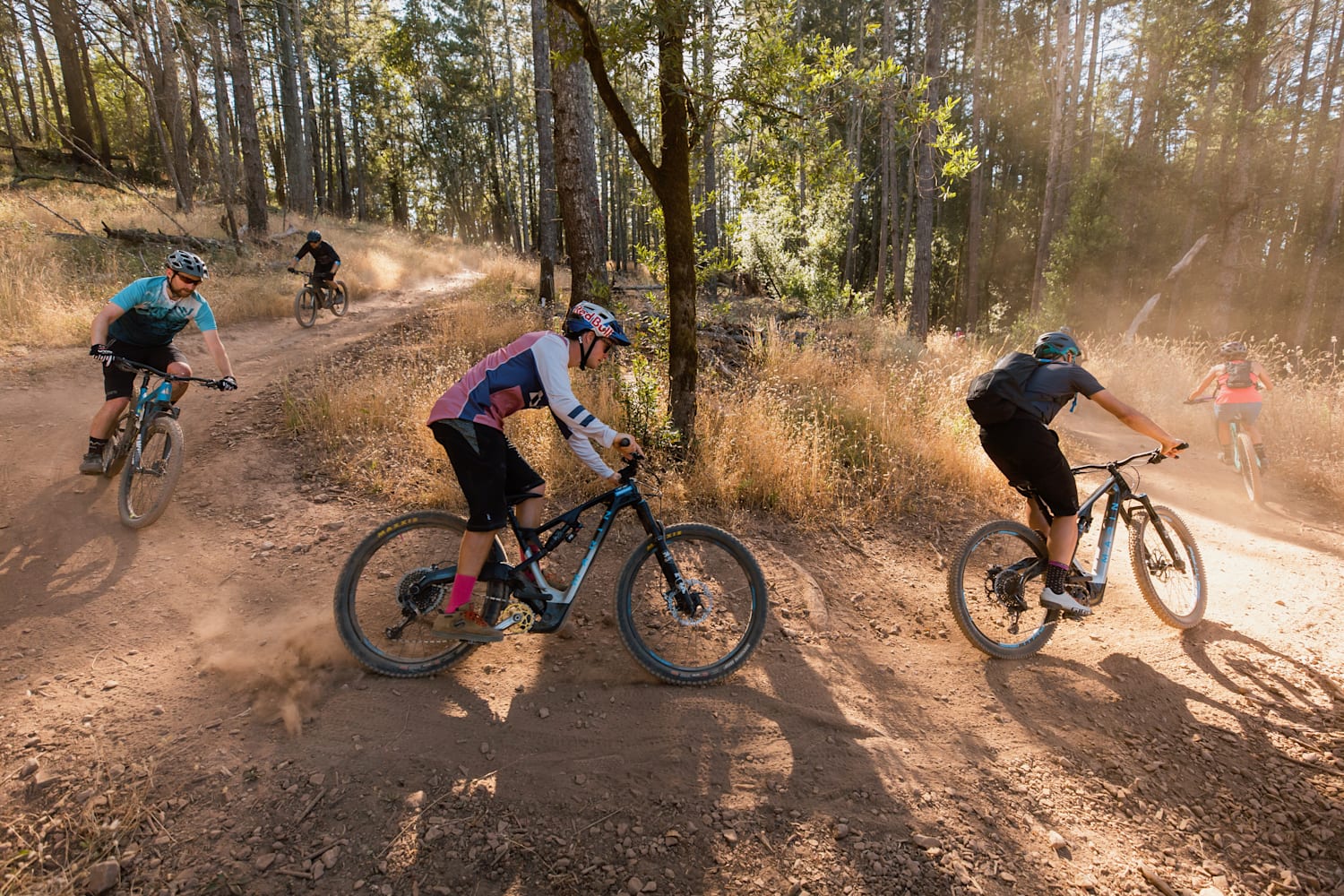 marin bike dealers