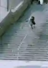 Gou Miyagi slides down a steep chrome rail to caveman exit