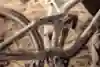 Close-up of Brandon Semenuk's custom-painted bike at Red Bull Rampage 2022 in Virgin, Utah.