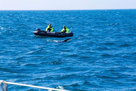 Edgely e sub supraveghere